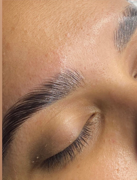 Brow Lamination Mater Class